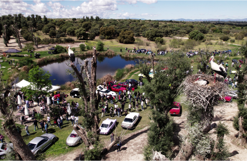 Autopia-lastlap-lago