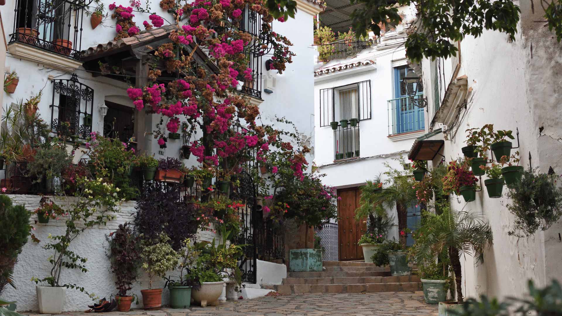 ESTEPONA CARRUSEL 1