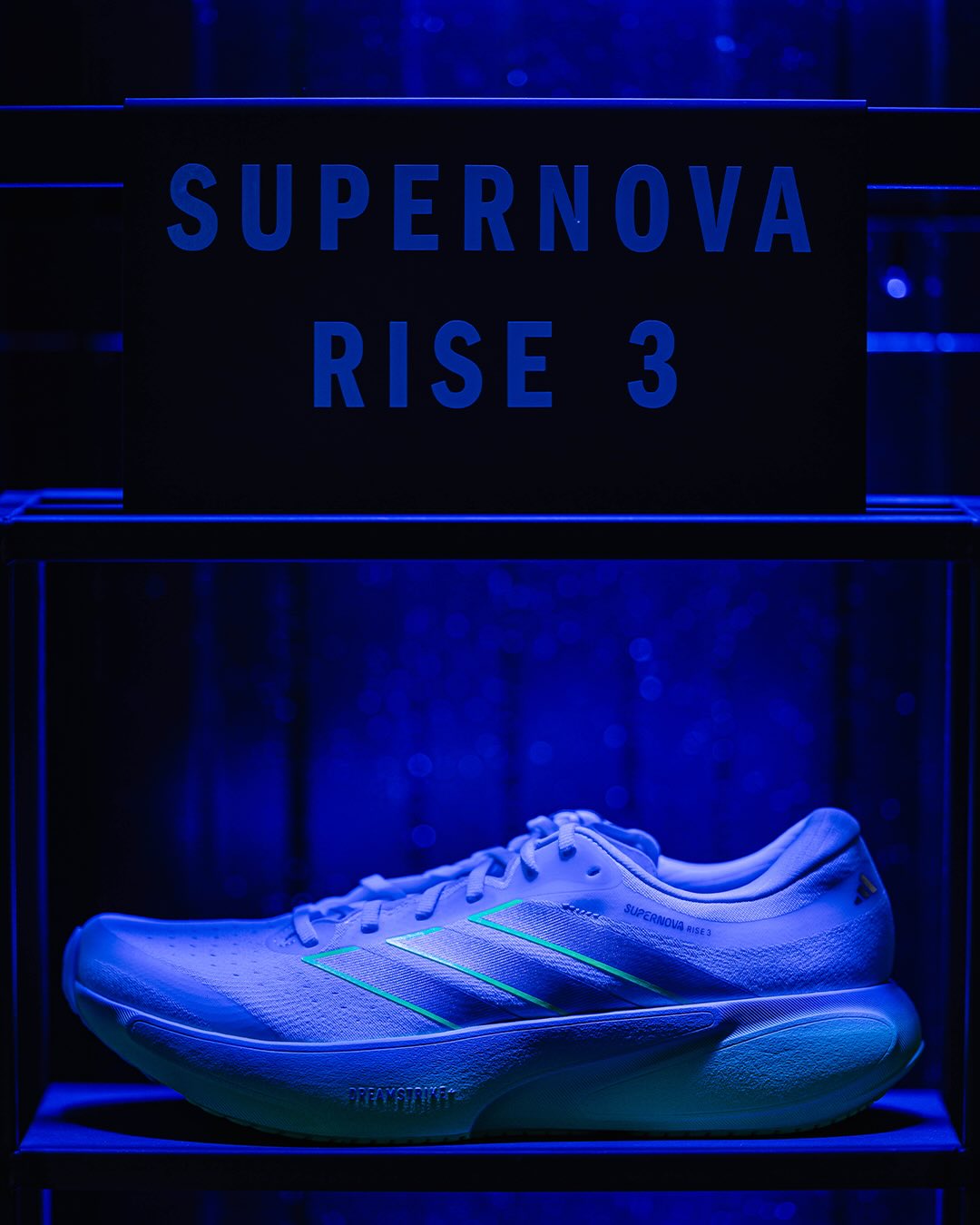 SupernovaRise300006